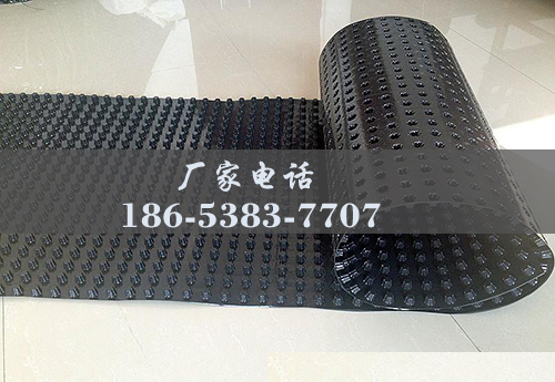 排水板廠(chǎng)家http://m.aquariaspot.com/